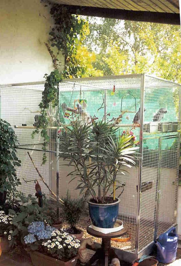Papageienhaltung Uta Schokolinski Tier Naturschutzverein Niederberg 04 Pvolie2